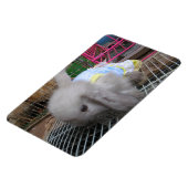 198.ドレスを着たウサギ マグネット (左側)