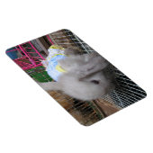 198.ドレスを着たウサギ マグネット (右側)