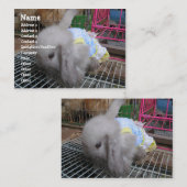 198.ドレスを着たウサギ 名刺 (正面/裏面)