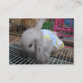 198.ドレスを着たウサギ 名刺 (裏面)