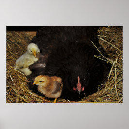 198.ママと彼女の雛 ポスター