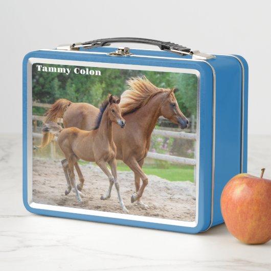 198.子女とお母さん メタルランチボックス (インサイチュ)