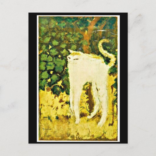 198.白い子猫 ポストカード (正面)