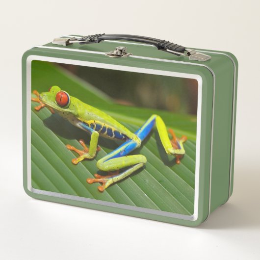 198.長いカエル メタルランチボックス (正面)