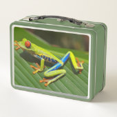 198.長いカエル メタルランチボックス (裏面)