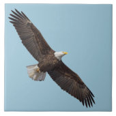 1990年威厳のあるの鷲 タイル (正面)