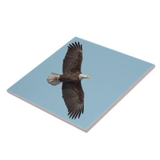 1990年威厳のあるの鷲 タイル (側面)