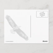 1990年威厳のあるの鷲 ポストカード (裏面)