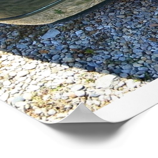 1992 C4コルベット ポスター (角)