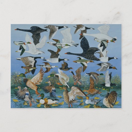 1996年に離陸 ポストカード (正面)