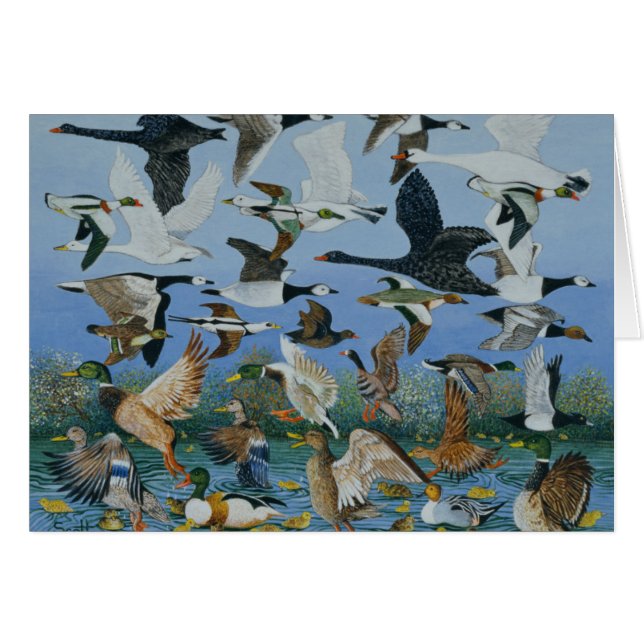 1996年をはずすこと (正面横)