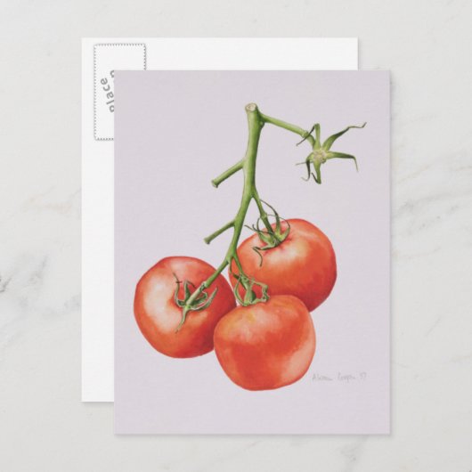 1997年のつる植物の3トマト ポストカード (正面/裏面)
