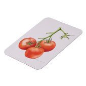 1997年のつる植物の3トマト マグネット (左側)