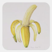 1997年の半分皮をむいたバナナ スクエアシール (正面)