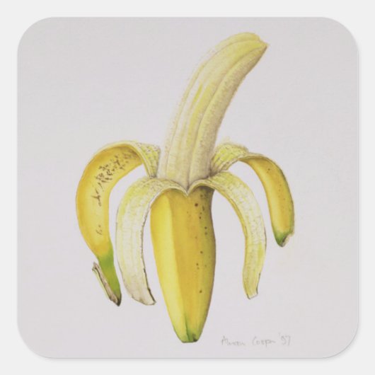 1997年の半分皮をむいたバナナ スクエアシール (正面)
