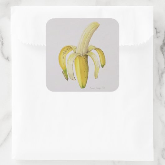 1997年の半分皮をむいたバナナ スクエアシール (バッグ)