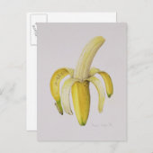 1997年の半分皮をむいたバナナ ポストカード (正面/裏面)
