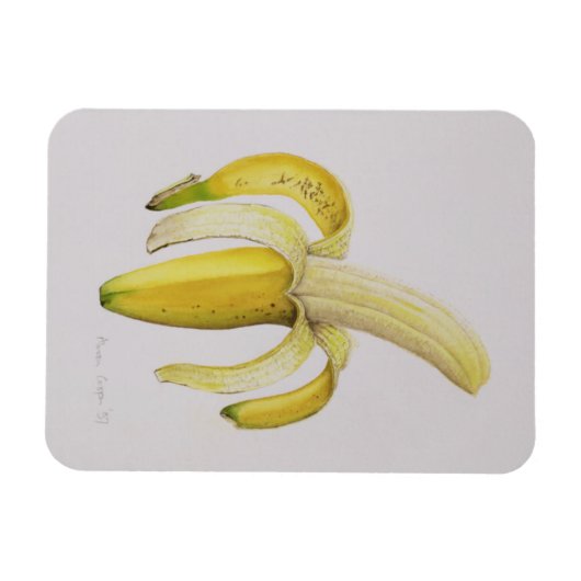 1997年の半分皮をむいたバナナ マグネット (横)