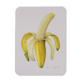 1997年の半分皮をむいたバナナ マグネット (縦)
