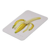 1997年の半分皮をむいたバナナ マグネット (左側)