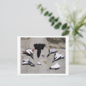 1997年ドライアデン研究航空機艦隊ランプ ポストカード (スタンド正面)