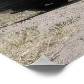 1998メルセデス・ベンツSL500ロードスター ポスター (角)