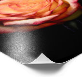 1998 – 黄色とピンクのバラ フォトプリント            (角)