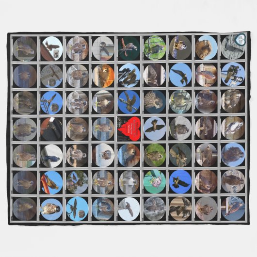 1998-2019ニューヨーク州ロチェスターのペレグリン《鳥》ハヤブサ フリースブランケット (正面(横))