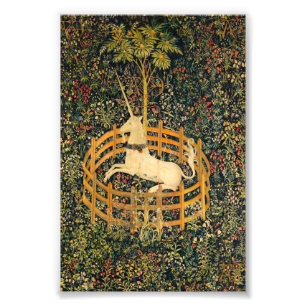 199.捕らえられたユニコーン フォトプリント           