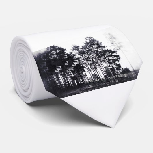 19 84 ネクタイ (ロール)