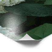 19"x13" なめらかアジサイ フォトプリント            (角)