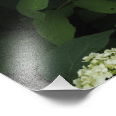 19"x13" なめらかアジサイ フォトプリント            (角)