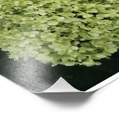19"x13" アジサイの滑らかなフォト フォトプリント            (角)