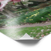 19"x13"ピンクマグノリアの木 フォトプリント            (角)