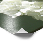 19"x13"ホワイトアジサイ フォトプリント            (角)