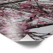 19"x13" Cherry Blossom Buds フォトプリント (角)