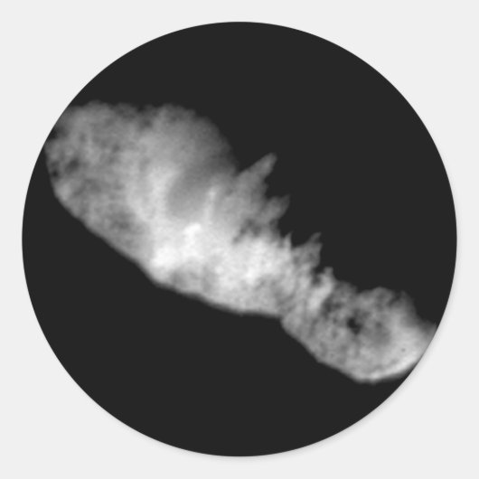 19P/Borrelly ラウンドシール (正面)