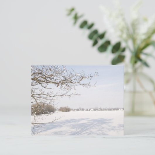 1 ポストカード (スタンド正面)