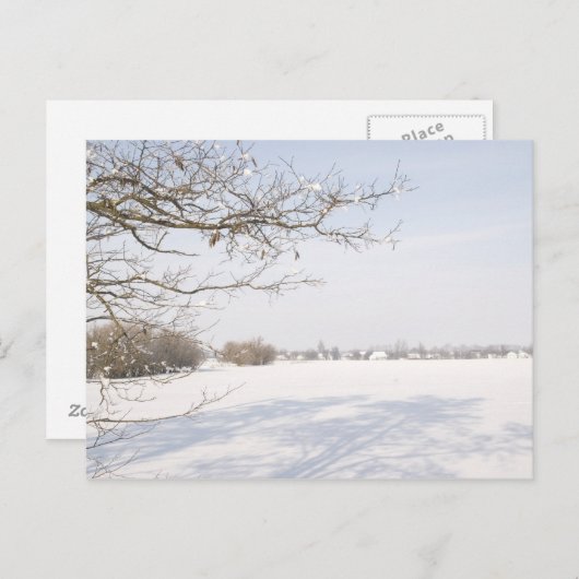 1 ポストカード (正面/裏面)