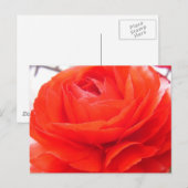 1 4ユー ポストカード (正面/裏面)