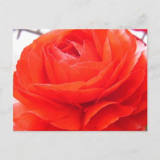 1 4ユー ポストカード (正面)