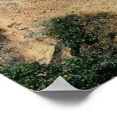 1 American Freedom Train (SP) 4449, Cape Horn, CA ポスター (角)