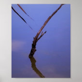 #1-Etang de Scamandre en Camargg. ポスター (正面)