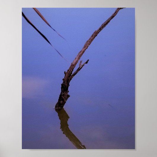 #1-Etang de Scamandre en Camargg. ポスター (正面)