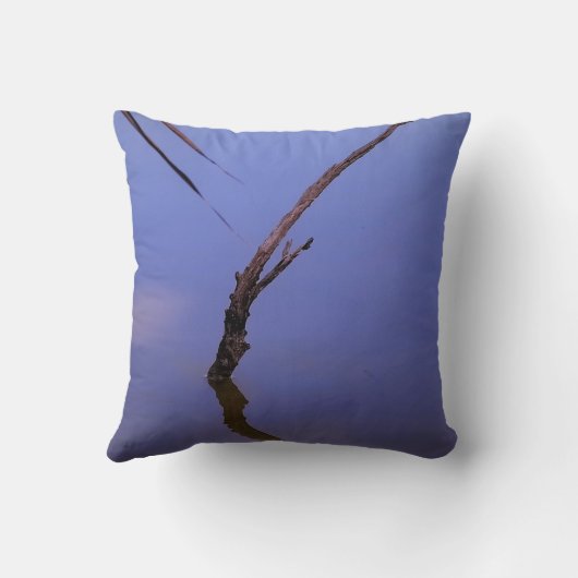 #1-Etang de Scamandre en Camargue.  クッション (裏面)