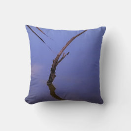 #1-Etang de Scamandre en Camargue.  クッション