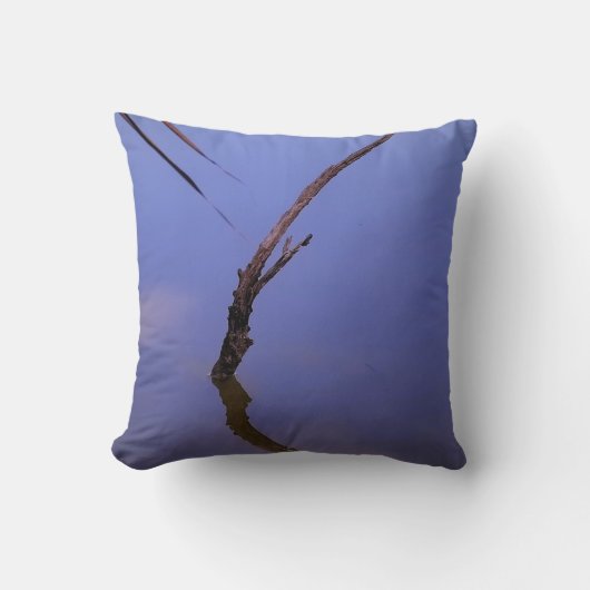 #1-Etang de Scamandre en Camargue.  クッション (正面)