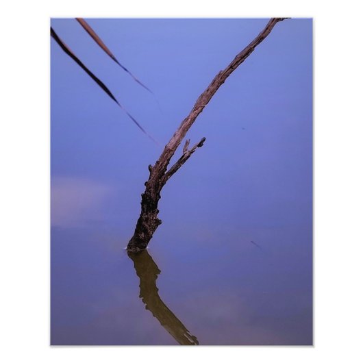 #1-Etang de Scamandre en Camargue.  フォトプリント (正面)