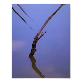 #1-Etang de Scamandre en Camargue.  フォトプリント