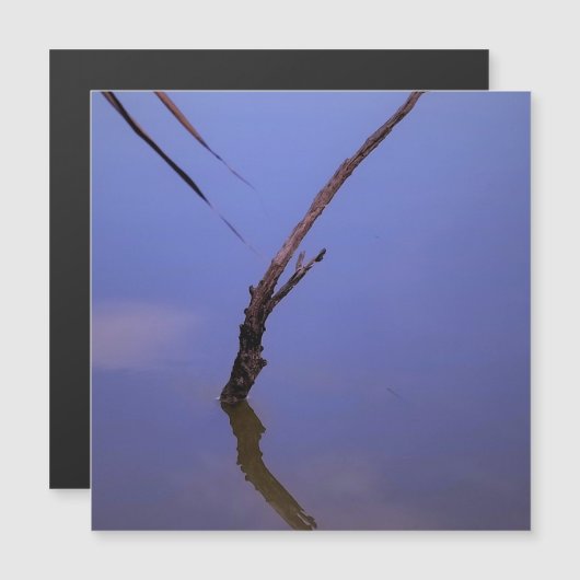 #1-Etang de Scamandre en Camargue. Aimant (正面/裏面)